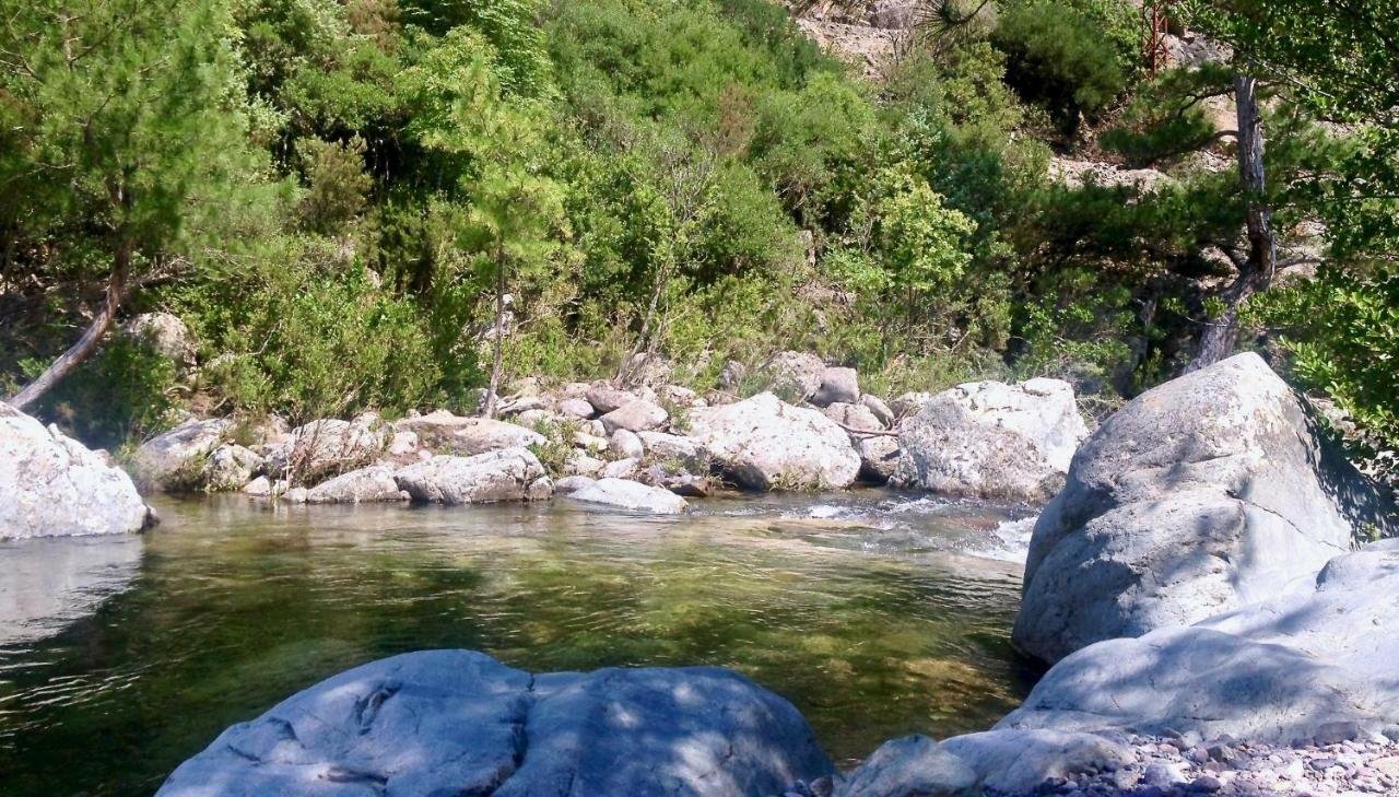 Pietranera Studio Proche De La Mer A 2Km De Bastia Ville-di-Pietrabugno Dış mekan fotoğraf